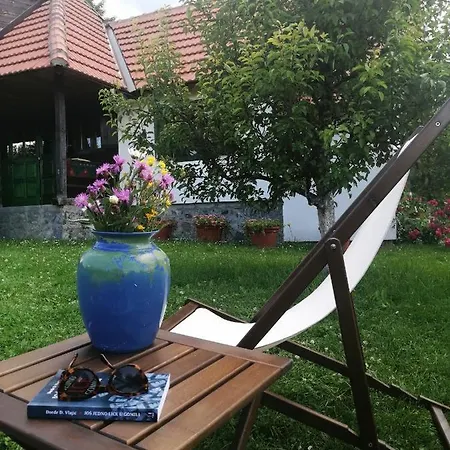 Camp Viljamovka Apartment