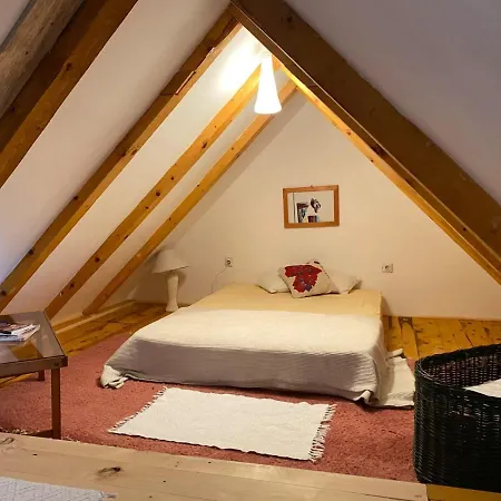 Lägenhet Camp Viljamovka