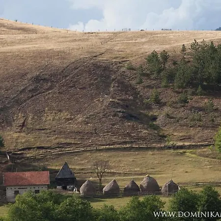 Lägenhet Camp Viljamovka
