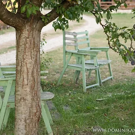 Lägenhet Camp Viljamovka Kremna