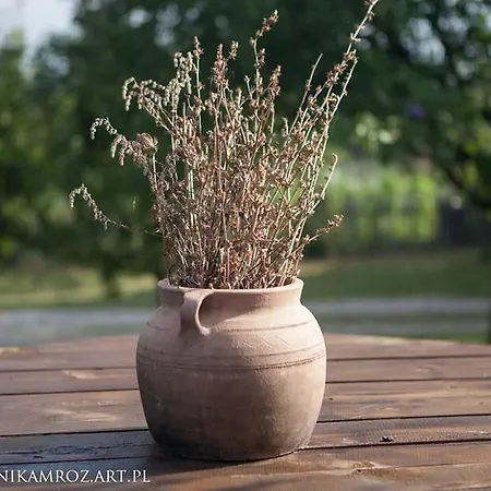 Lägenhet Camp Viljamovka