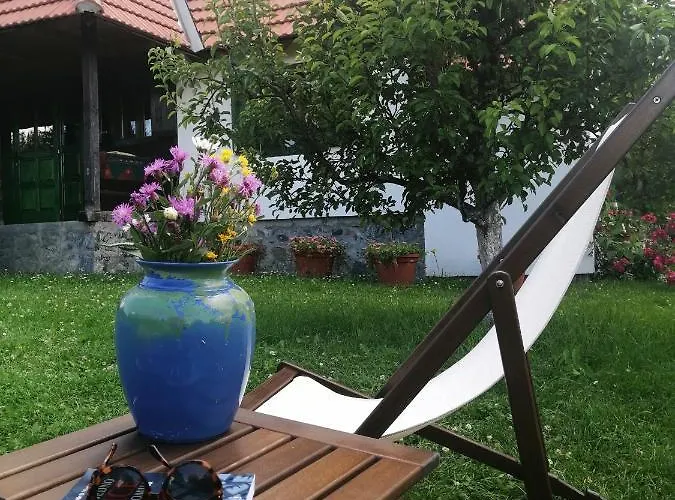 Camp Viljamovka Apartamento