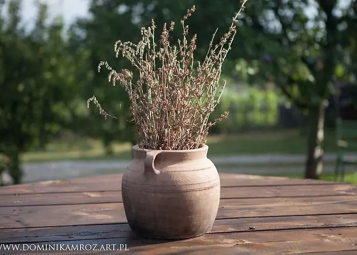 Apartamento Camp Viljamovka