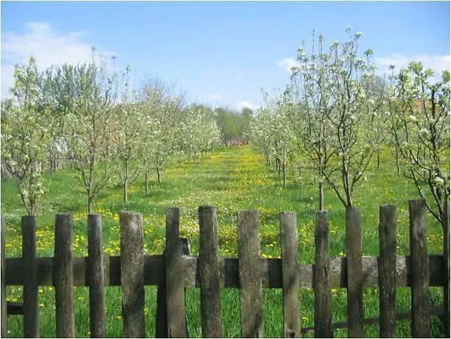 Apartamento Camp Viljamovka Kremna